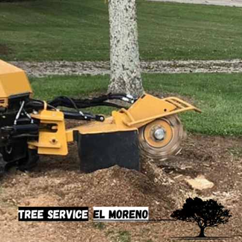 stump grinding and removal moreno valley