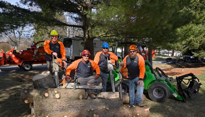 tree service team in moreno valley